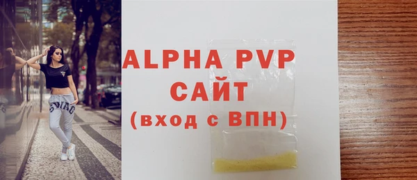 apvp Ельня