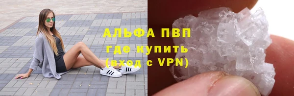 apvp Ельня