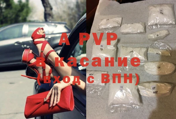 apvp Ельня