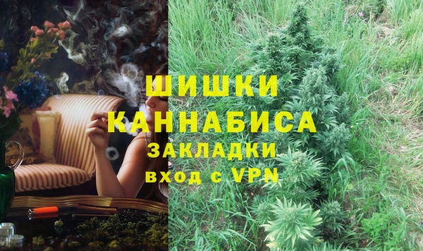 apvp Ельня