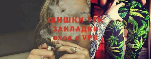 apvp Ельня